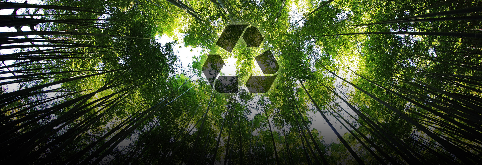 Environmental Friendly Business - RSTW will be a top environmental friendly company through our wafer reclaim business.